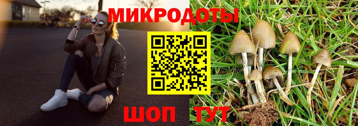 Галлюциногенные грибы ЛСД Зеленогорск