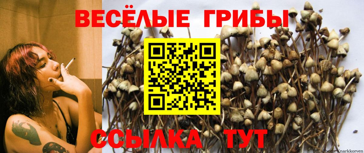 Псилоцибиновые грибы ЛСД  Вход с VPN  Зеленогорск 